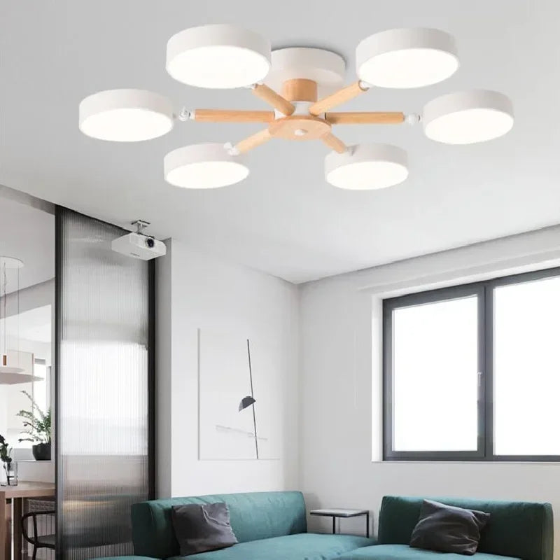 Modern Ceiling Lamp