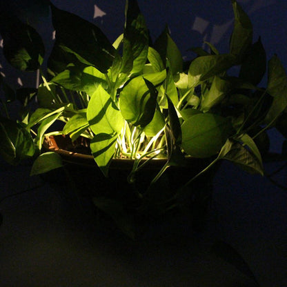 Solar Flowerpot Lamp (Pack of 4)