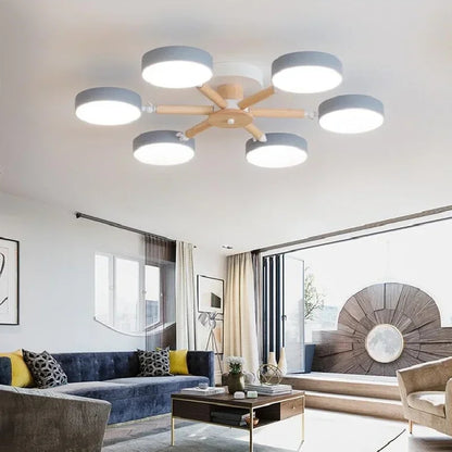 Modern Ceiling Lamp