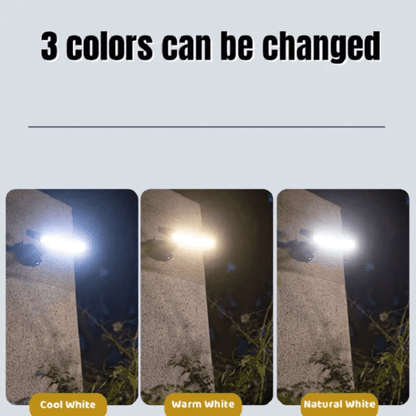 Solar Induction Lamp