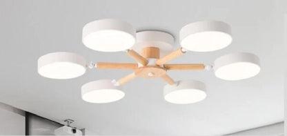 Modern Ceiling Lamp