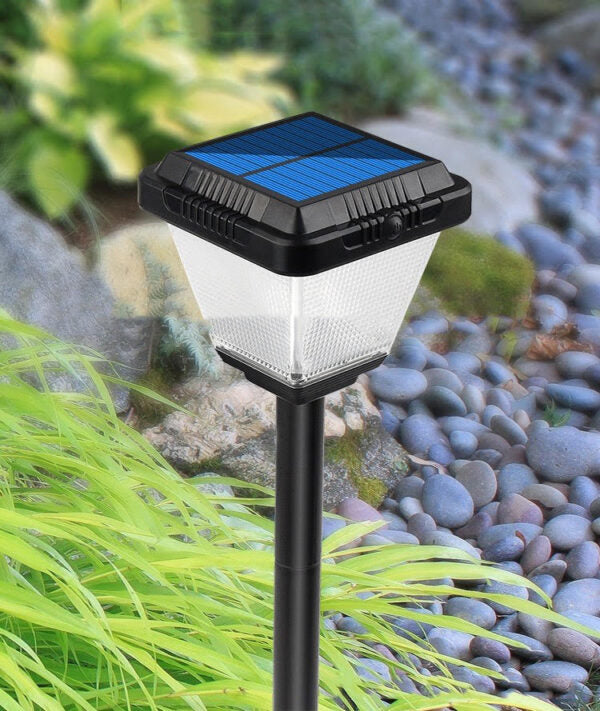 Multicolored Lawn Lamps (Pack of 4)