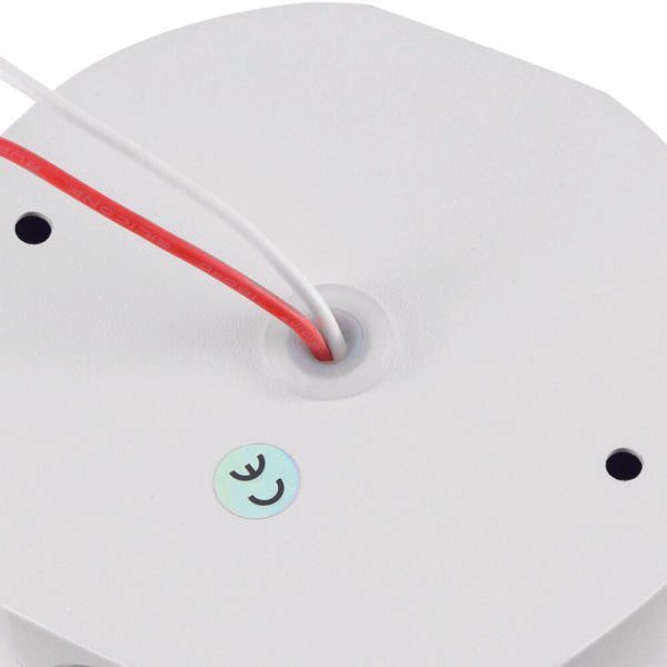 UP & Down Wall Light