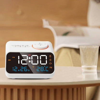 FM Radio Alarm Clock